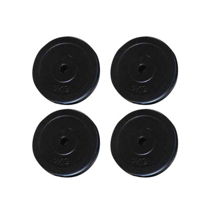 vidaXL Weight Plates 4 pcs 44.1 lbs-1